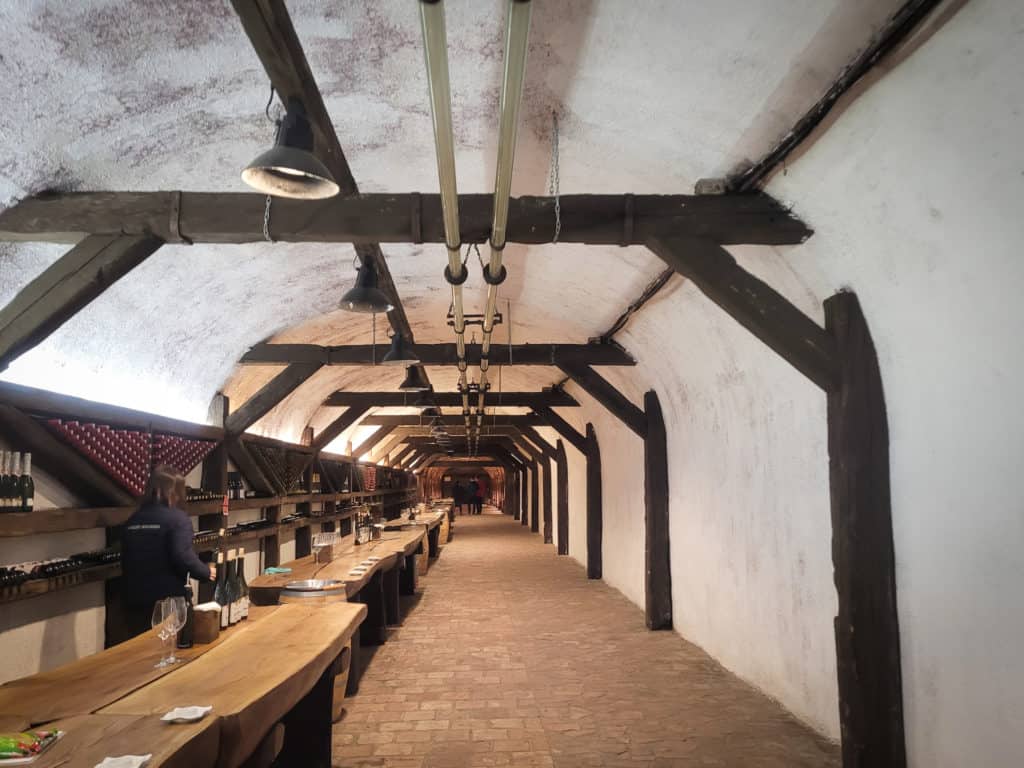 A wine tunnel with bottles of wine along a wall and tables for wine tasting in Telavi, Georgia