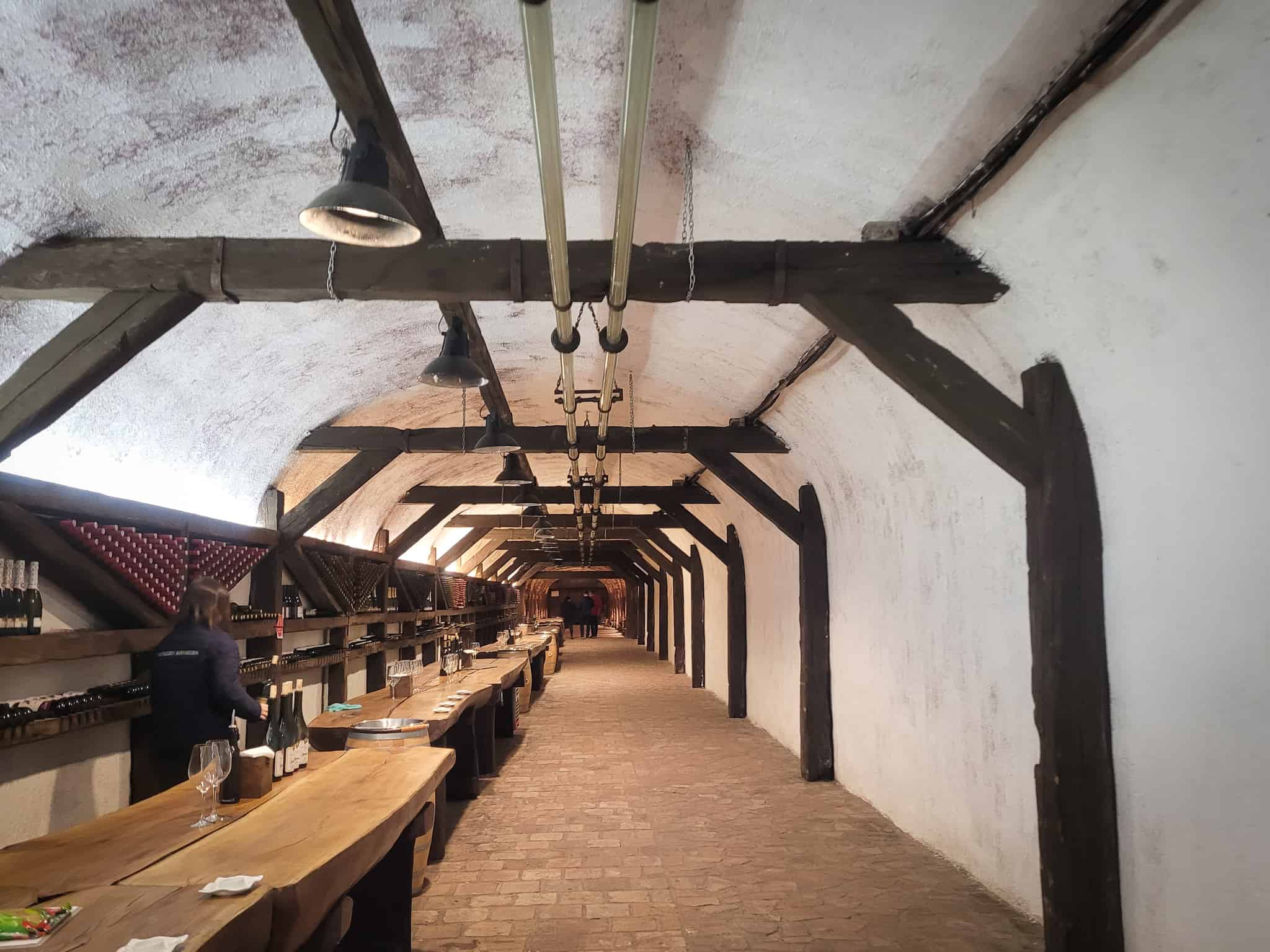A wine tunnel with bottles of wine along a wall and tables for wine tasting in Telavi, Georgia