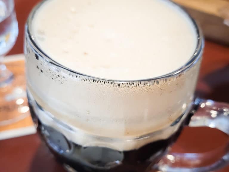 A glass of Czech style beer that is a dark lager