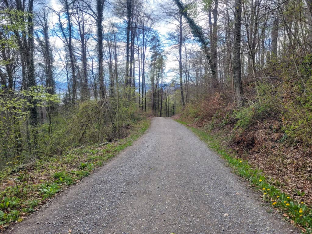 Walking trail towards Zurich