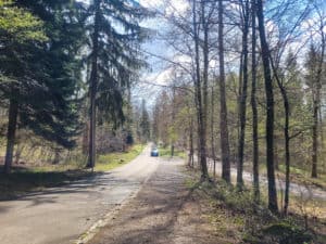 Road towards Degenried