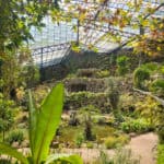 View of Estufia Fria garden