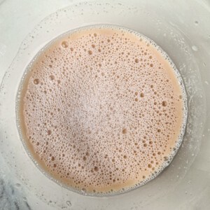 Bloomed yeast in water inside a bowl