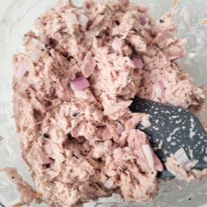 Bowl filled with tuna mixed with mayonnaise