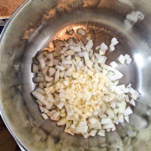 Onions and garlic in frying in a pot