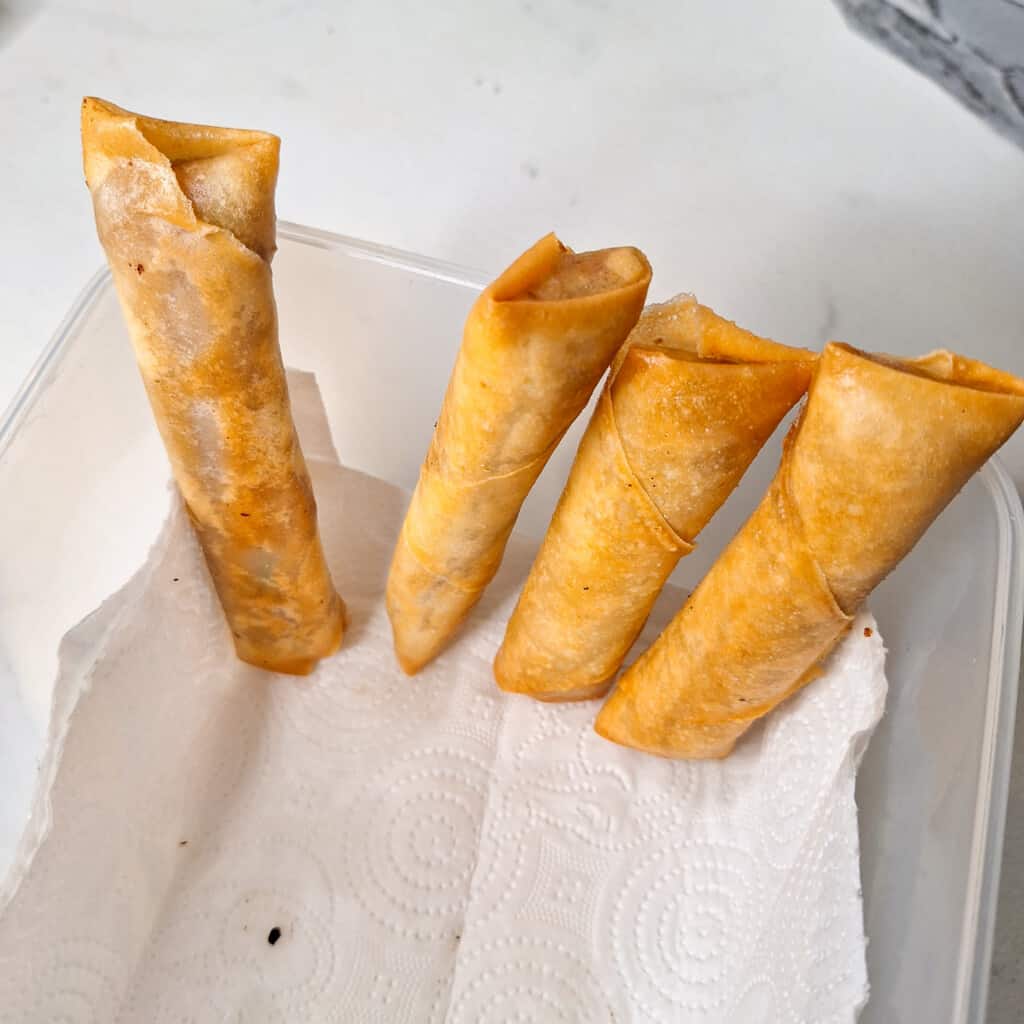 Standin fried spring rolls